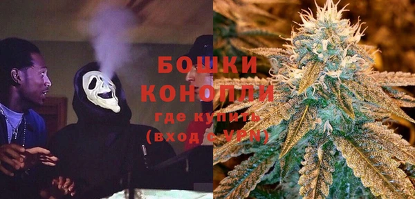 сатива Володарск