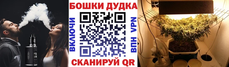 Каннабис конопля  Вилюйск 